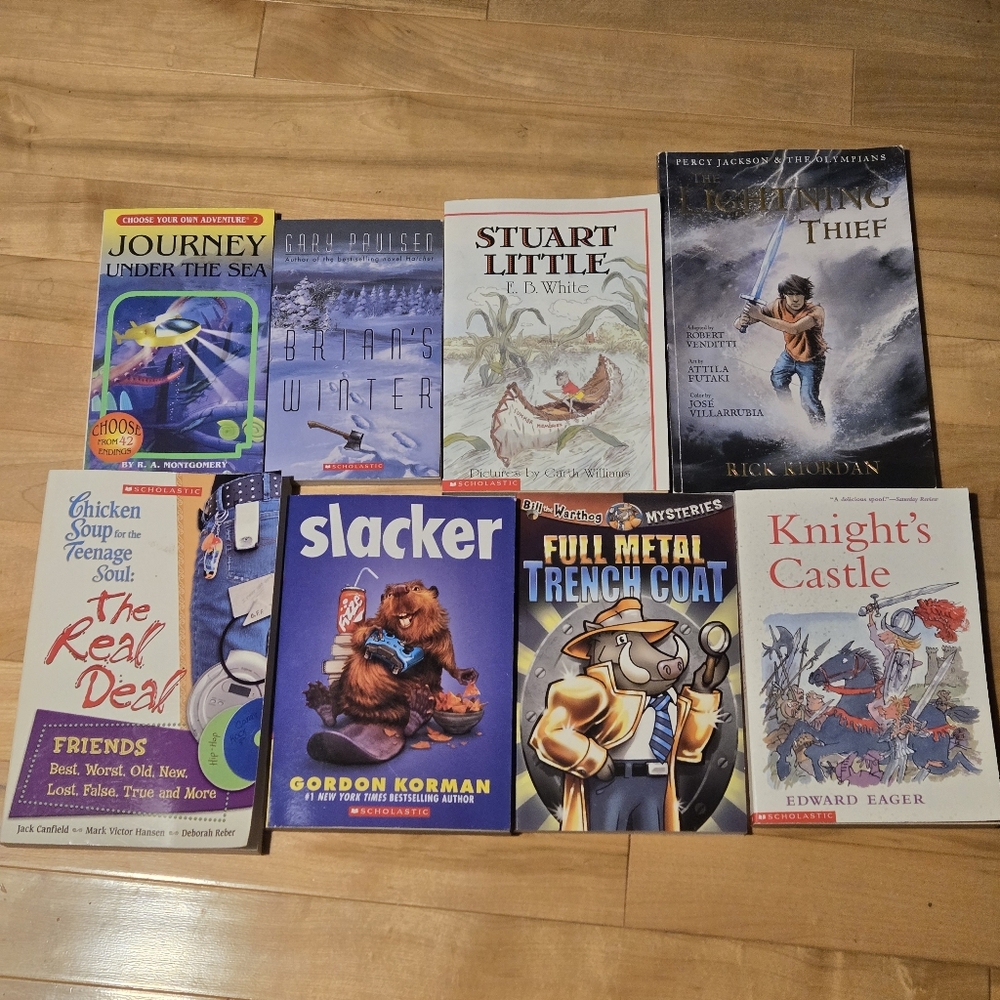 Kids Book Lot